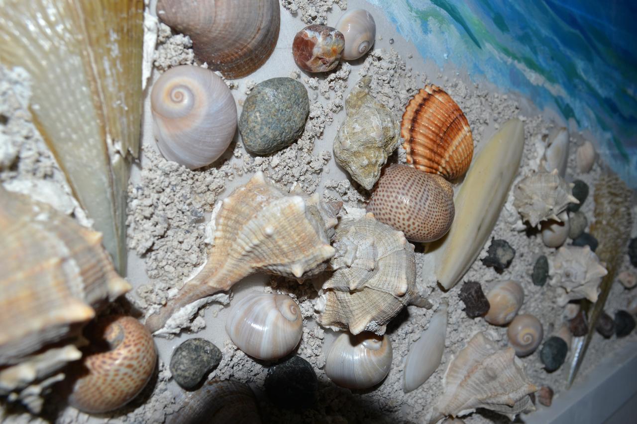 Seashell Art Decor Studio & Parking Vlora Kültér fotó